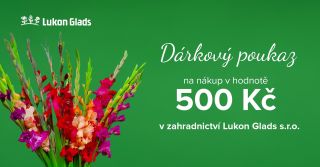 🎁 Novinka: Elektronické dárkové poukazy! Máme pro vás skvělou zprávu! Nyní si u nás můžete zakoupit nejen tištěné dárkové...